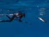 annie_spotted_dolphins2