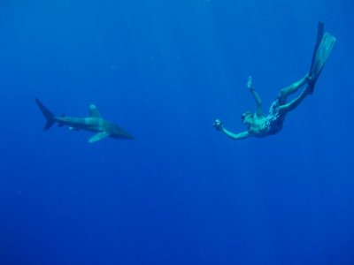 Close Encounter in Kealakekua Bay