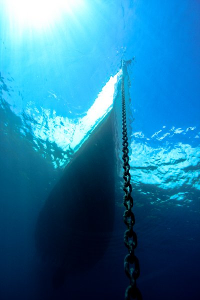 Chain links