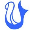 Lancy Natation