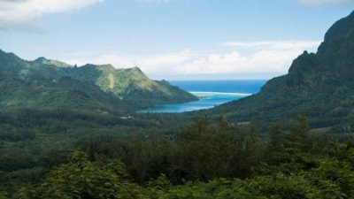 Opunohu Bay