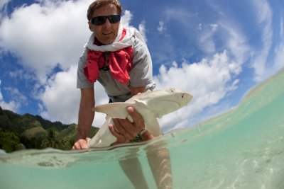William and bab lemon shark