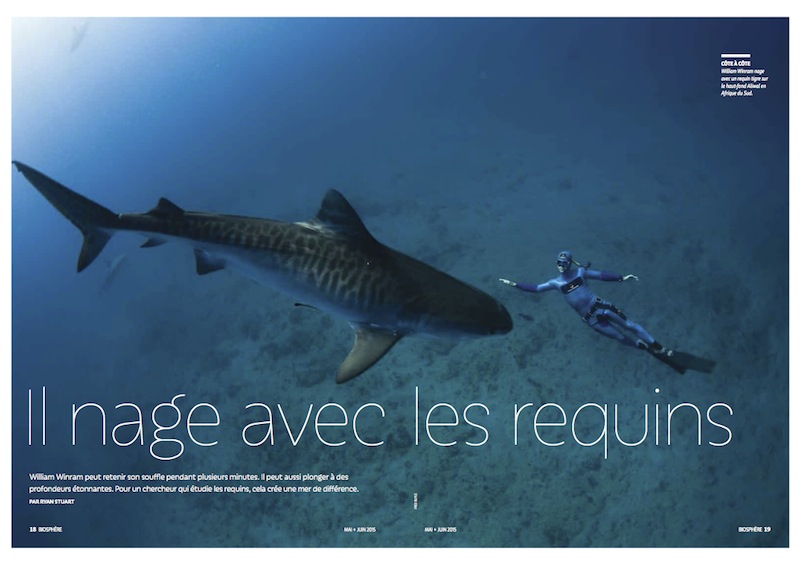 Nage-avec-Requins