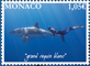 The Sharks You’ll Love to Lick