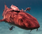 Bimini – Take Two