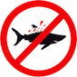 Sharkache Avenue
